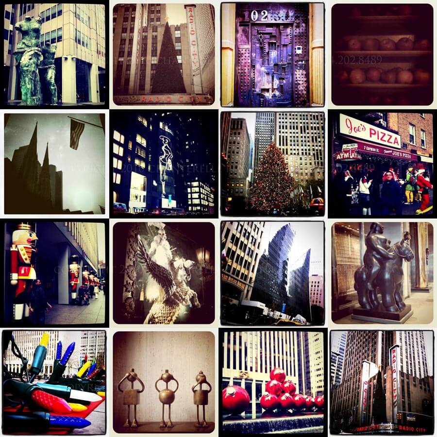 Snapshots New York City Holiday Chanterelle Photography Montgomery