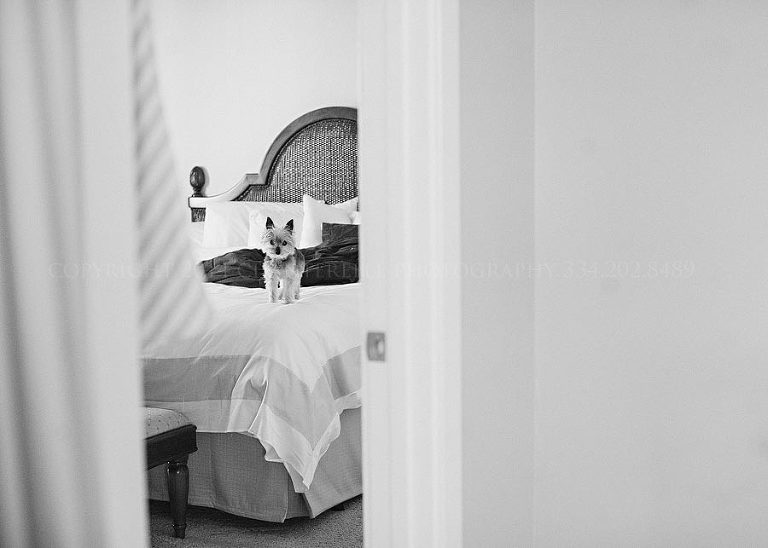 Destination Beach Wedding In Destin Florida By Photographer Julie Lowry